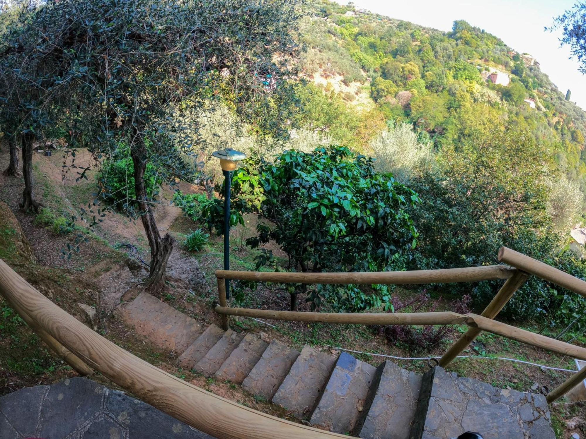 Bed & Breakfast B&B Portofino 3*