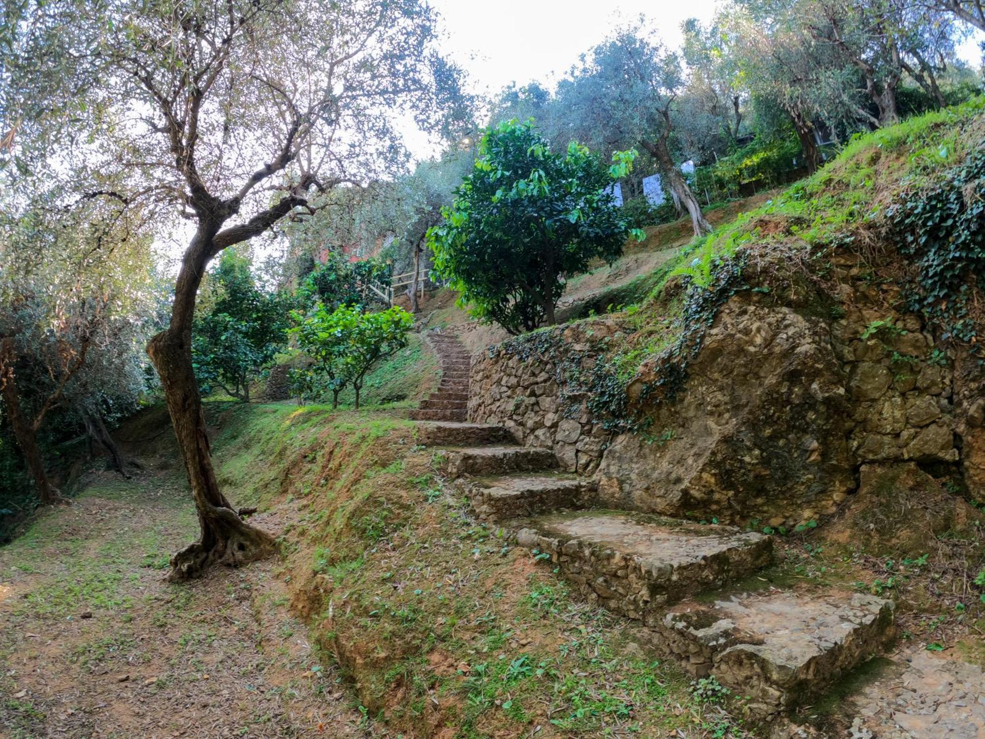 Bed & Breakfast B&B Portofino Portofino